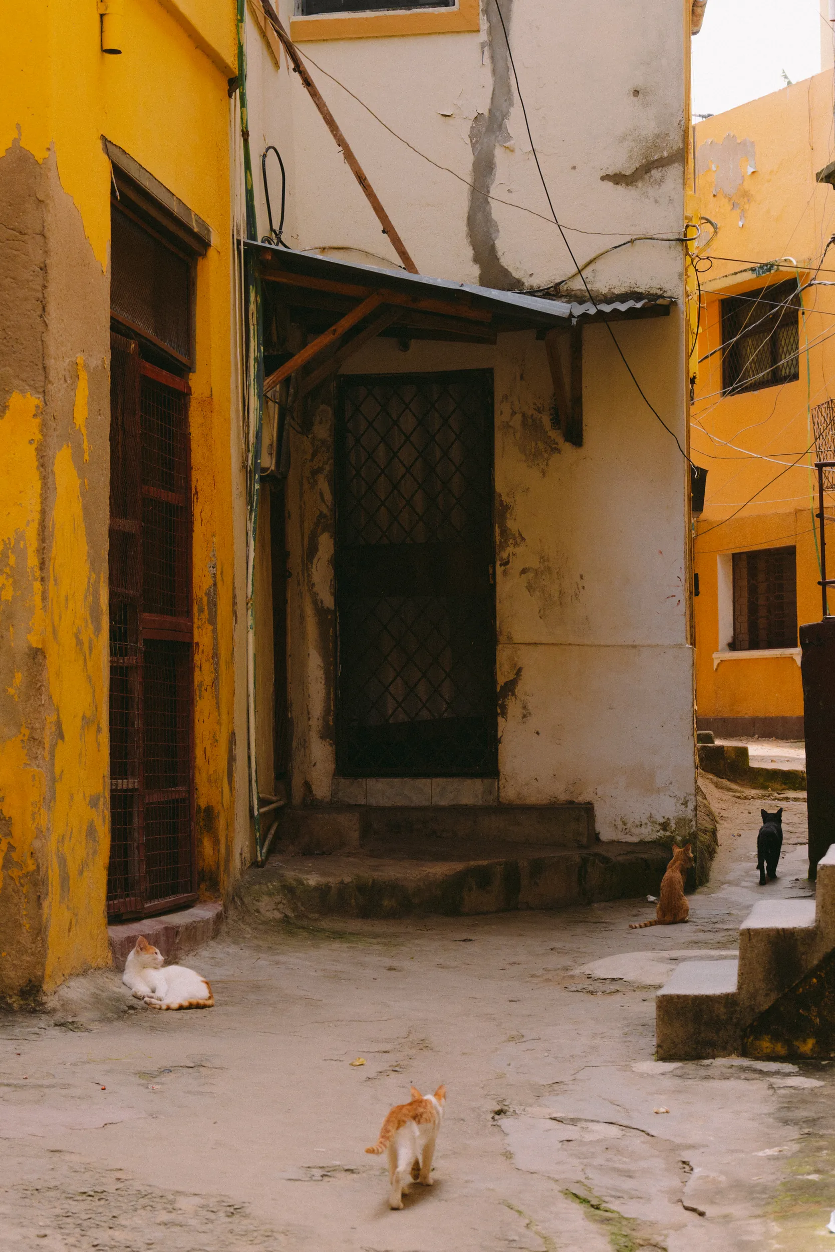 Documentary photography capturing Mombasa street culture