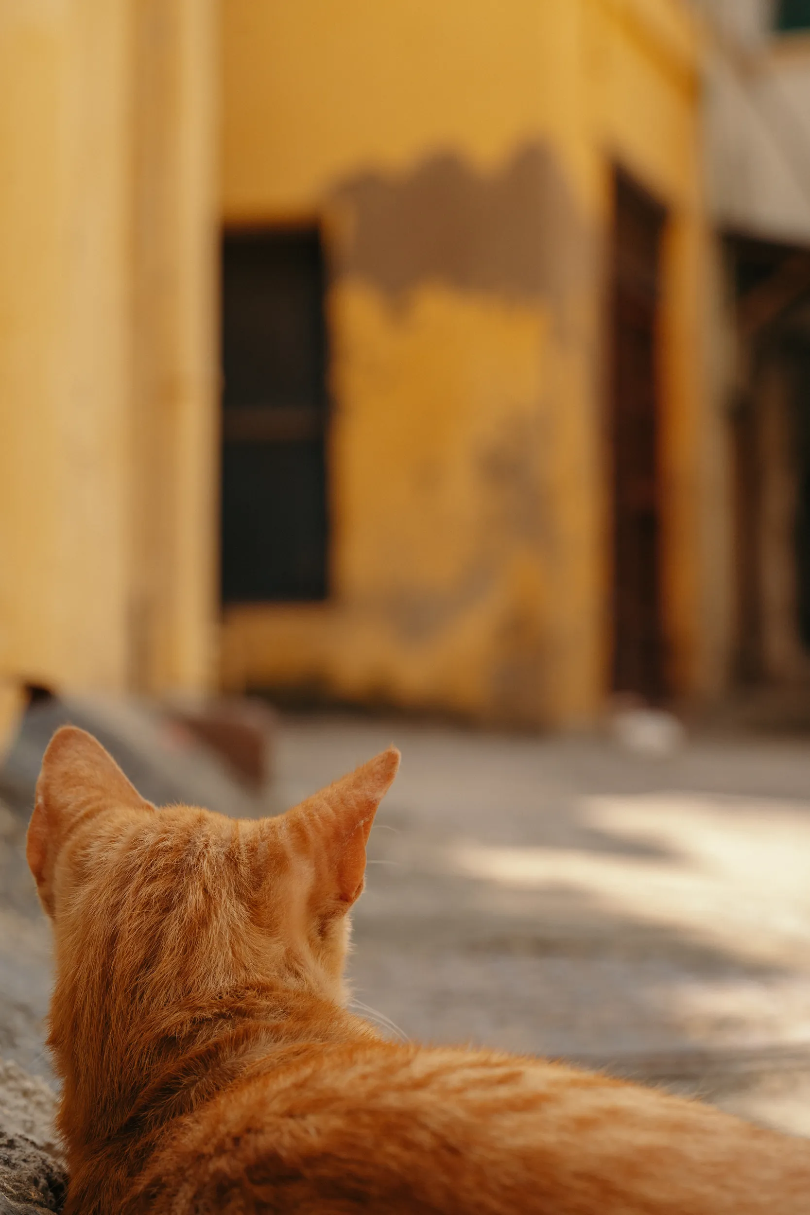 Portrait of a spiced coffee vendor in Mombasa Kenya